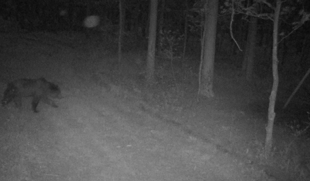 photo 2026 05 26 22 10 33