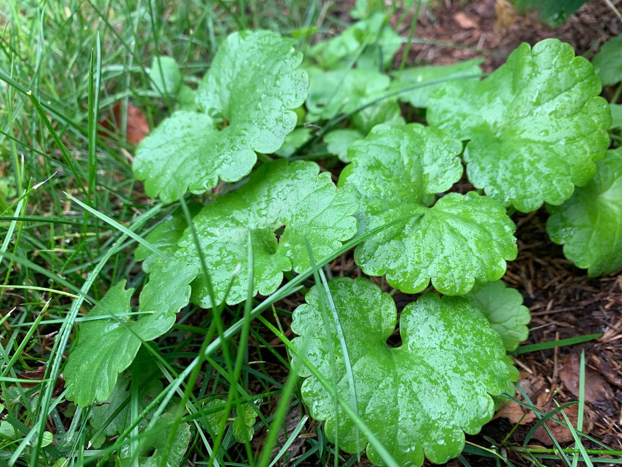 photo 2026 07 08 17 14 40