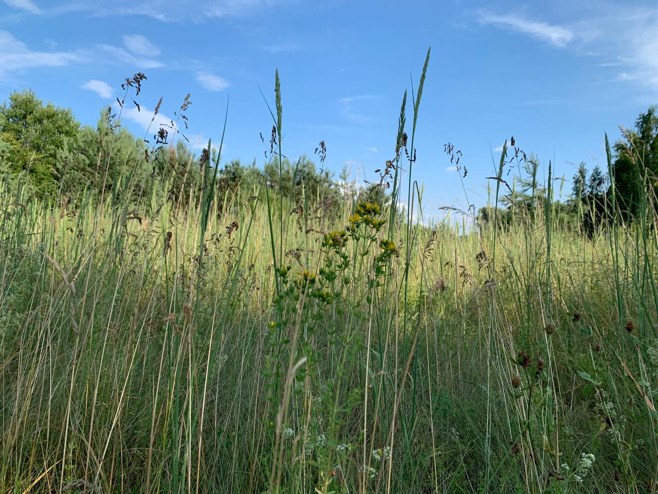 photo 2026 06 30 17 59 28