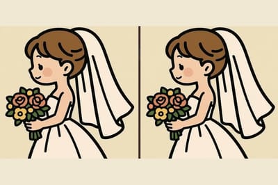 Если заметите 3 отличия на картинке невесты — у вас гениальная наблюдательность