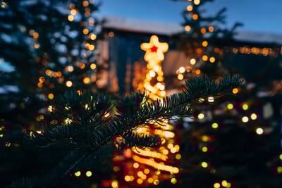 Такой погоды на Новый год никто не ждал: прогноз на 30 декабря – 1 января по Гродненской области  