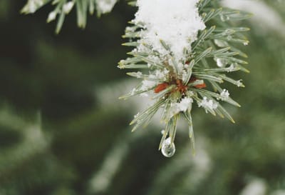 Погода резко изменится: прогноз по Гродненской области на 2-4 января 
