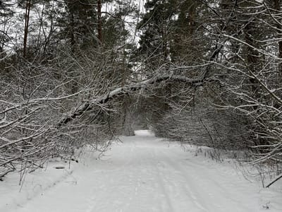 Эта старинная примета 3 января вернее синоптиков расскажет, каким будет лето