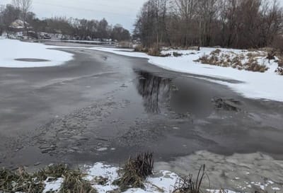 В Брестской области утонули два молодых человека 
