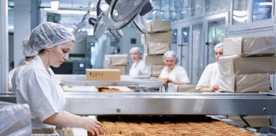 В Гродненской области остановили работу трёх цехов: какие нарушения выявили