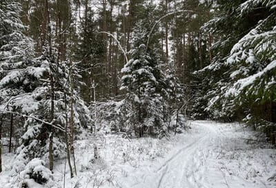 Погода изменится: прогноз на 8-10 января по Гродненской области