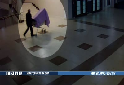 Похитителя новогодних ёлок задержали в Минске