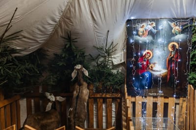 Живой вертеп открылся в Свято-Троицком соборе Слонима. Когда его можно посетить