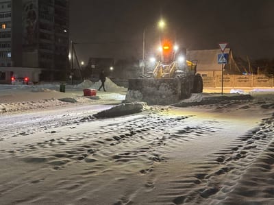 Слоним засыпает снегом: циклон «Улли» принёс редкую для последних лет метель