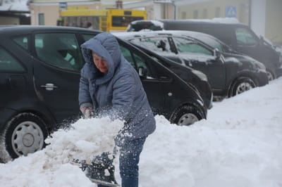 Настоящая зима в Слониме: снег, утки и мнение горожан