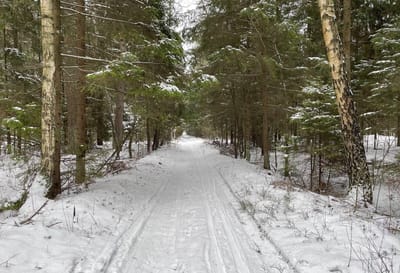 Идет арктический холод: о погоде на Гродненщине 11-13 января 