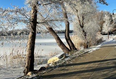 Отступят ли морозы на предстоящей неделе, рассказал синоптик Дмитрий Рябов