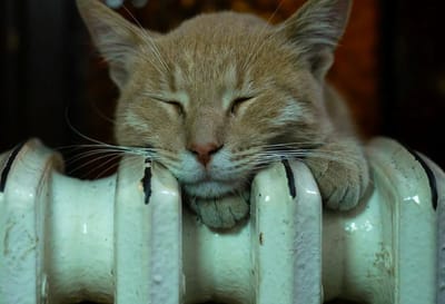 Как экономить на отоплении зимой: включать постоянно или по мере необходимости?