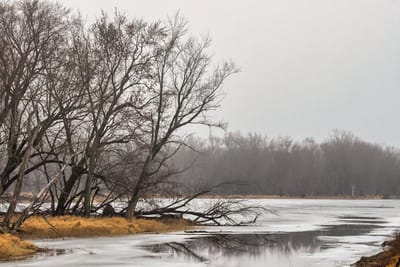 Декабрь 2025-го на Гродненщине побил рекорды тепла и сюрпризов природы