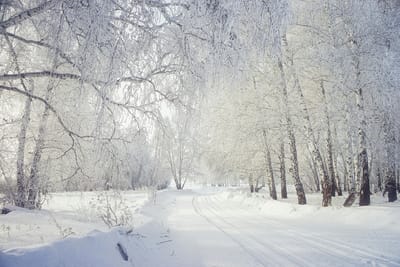Стало известно, в каких городах Беларуси самый чистый воздух