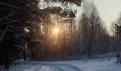 Синоптики предупредили о сильных морозах и гололедице в Гродненской области