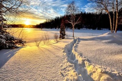 Сильвестров день 15 января подскажет, какой будет зима