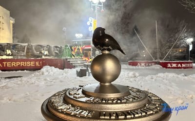 Почему идет пар от памятника воробью в Барановичах? Тайна разгадана 