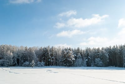Почему в Беларуси настала суровая зима и какой погоды ждать дальше: объясняет ученый