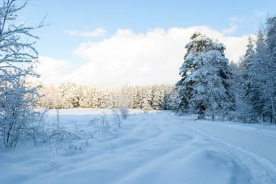 Воздух трещит от холода: о погоде в Гродненской области на 20-22 января 