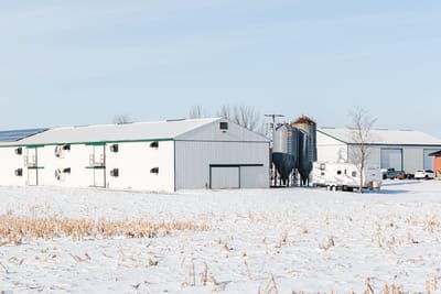 На какую глубину промерзла почва, рассказали синоптики 