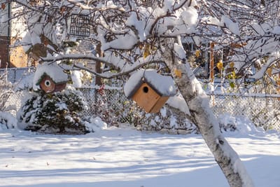 После крещенских морозов погода ухудшится: идет оттепель