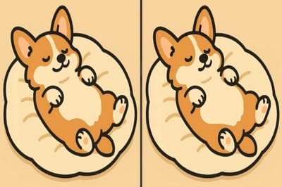 Если найдёте на картинке все три отличия, у вас феноменальная внимательность