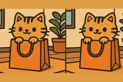 Только самые внимательные находят 3 отличия за 45 секунд