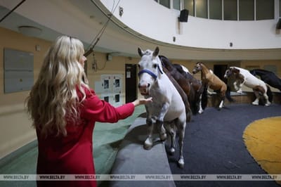 «Не забуду этот день!»: Как мастер ЖКХ из Слонима стала дрессировщицей цирковых пони