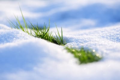 Что можно и нельзя делать в Макарьев день 1 февраля: приметы о ранней весне