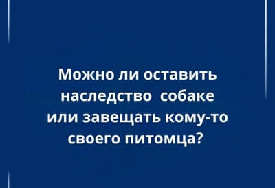 Животное в завещании: как позаботиться о питомце на случай своей смерти