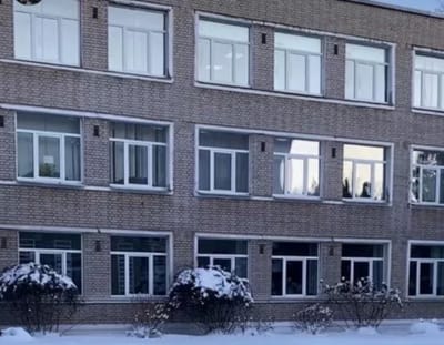 Сотни летучих мышей проникли в школьный кабинет — потребовалась помощь спасателей