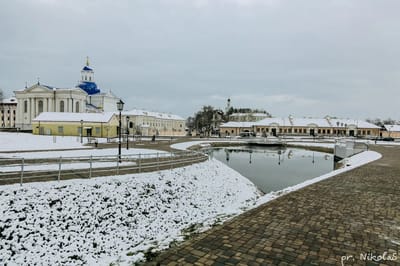 Немецкий парень, переехавший на Слонимщину, создаст в Жировичах аллею памяти священников – героев Второй мировой