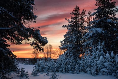 Лютые морозы возвращаются: о погоде на Гродненщине 7-9 февраля 