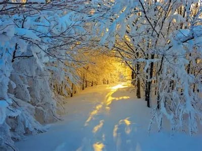 Какой будет весна? Смотрим погоду 7 февраля — Григорьев день всё расскажет