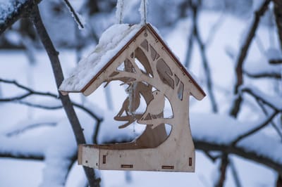 Почему к кормушке не прилетают птицы? 3 возможные причины