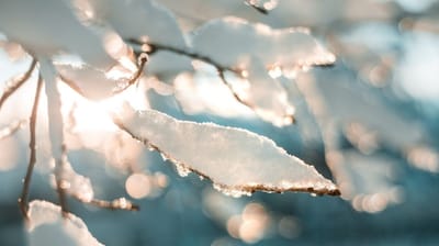 13 февраля в Гродненской области ожидается дождь, мокрый снег и гололедица