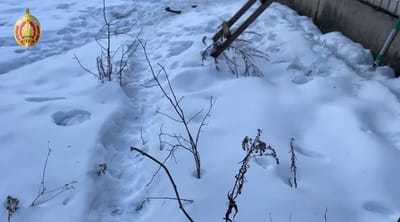 Вооружились и приехали на каршеринге: детали нападения на дом под Смолевичами