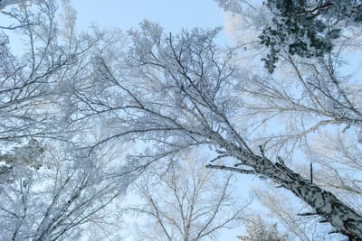 Морозная погода в Гродно и области: подробный прогноз на 19–21 февраля