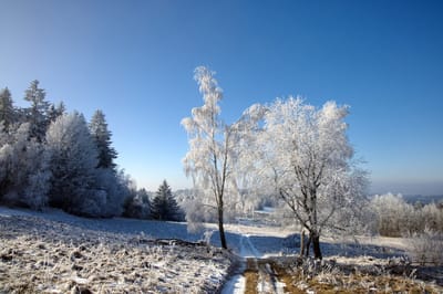 В выходные в Гродненской области ожидается существенное потепление и осадки