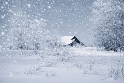 Эта примета 20 февраля указывала на тёплое лето