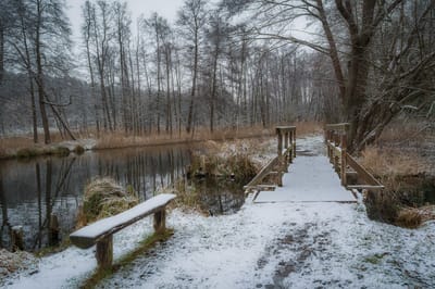 Циклон принесёт осадки в Гродненскую область: прогноз на 23–25 февраля