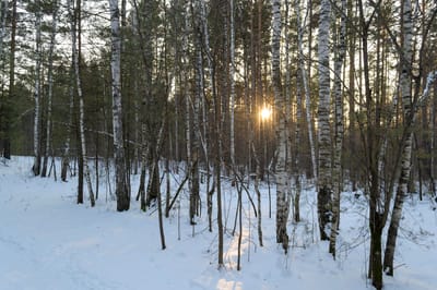 От -16 до +4 градусов: прогноз погоды по Гродненской области на 24–26 февраля