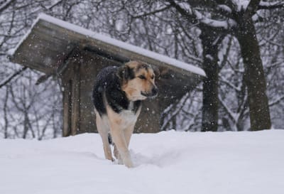 Потеплеет: о погоде в Гродненской области на 25–27 февраля