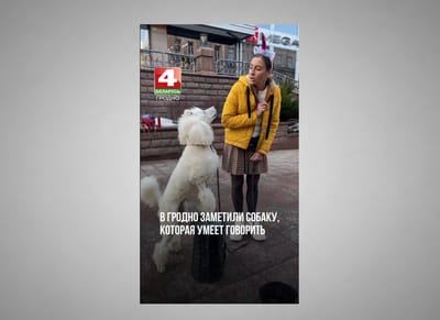 В Гродно заметили говорящую собаку