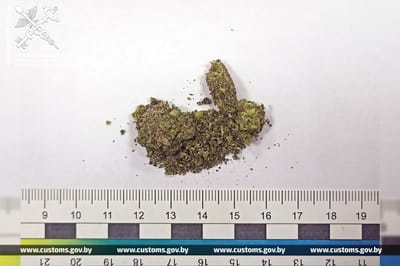 Мужчина пытался проглотить марихуану при таможенном контроле в пункте пропуска «Каменный Лог»