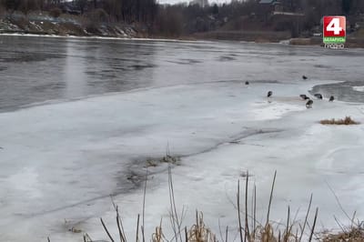 Двое школьников провались под лед во время фотосессии на Немане