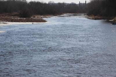 Поднялась ли вода в Щаре: какая сейчас ситуация на реке в Слониме