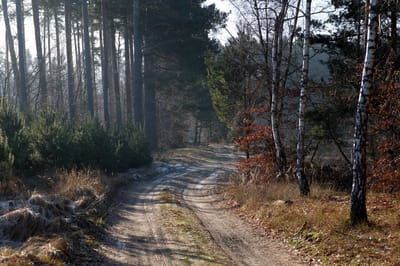 Весна наступает: в Гродненской области потеплеет до +15  