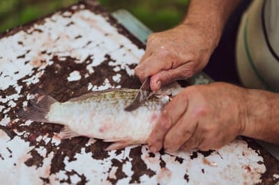 Как почистить рыбу без грязи и разлетающейся чешуи: простая хитрость